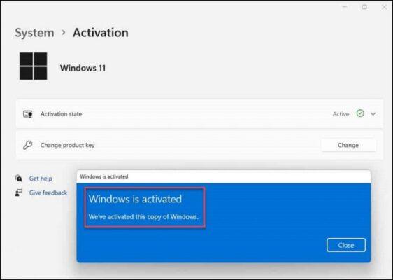 لایسنس Windows 11 Home + Office 2019 Pro Plus مایکروسافت
